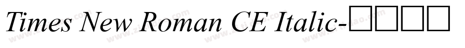 Times New Roman CE Italic字体转换